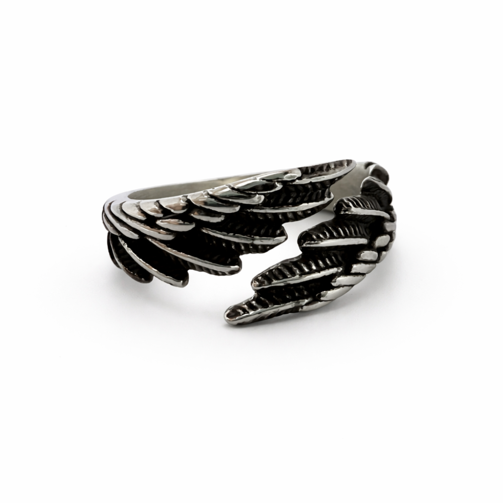 ANILLO ASCENSO