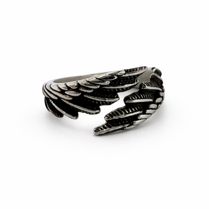 ANILLO ASCENSO