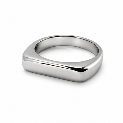 ANILLO HORIZONTE