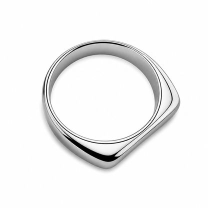 ANILLO HORIZONTE