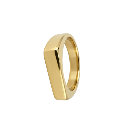 ANILLO HORIZONTE