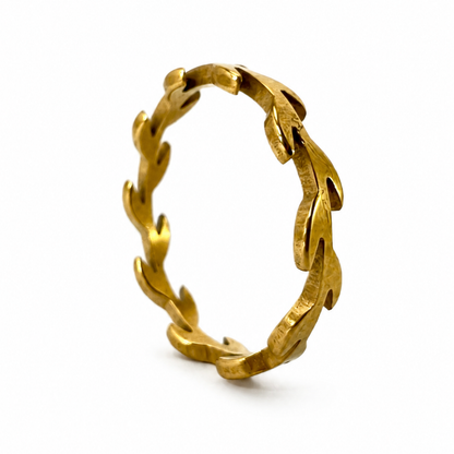ANILLO ARRECIFE